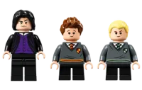 LEGO Harry Potter 76383 - Hogwarts™ Moment: Zaubertrankunterricht